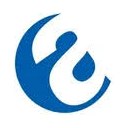 Amer Mounts logo