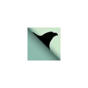 American Eagle Paper Mills logo