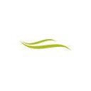 Aromafloria logo