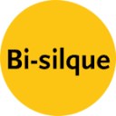 BI-SILQUE VISUAL COMMUNICATION PRODUCTS logo
