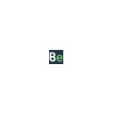 Bloom USA logo