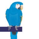 Blue Parrot logo