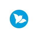 Bluebird logo