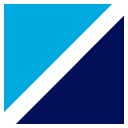 Bluefin International Inc logo