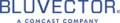 Bluvector logo