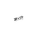 BnM Fishing logo