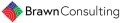 Brawn Consulting logo