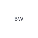 BRENTWOOD(R) GEOJUG logo
