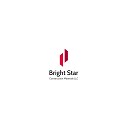 Bright Star Llc logo