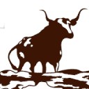 Caviness logo