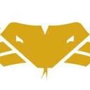 Cobra Archery logo