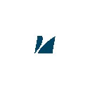 Cyclone logo