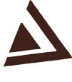 Delta Force logo
