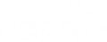 DigiBird logo