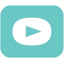 Digistor logo
