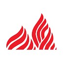 FireKing Security Group logo