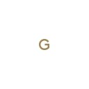Gold Toe logo