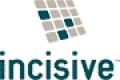 Isve Software logo