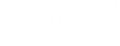 Netis-Systems logo