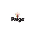 Paige Electric logo