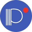 Panini logo
