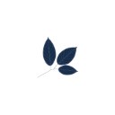 Phyto logo