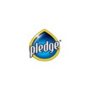 Pledge logo