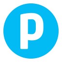 Plenom logo