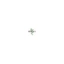 Priti Nyc logo