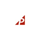 PRO-WIRE logo