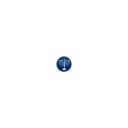 Rite Lite logo