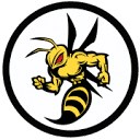 Stinger logo