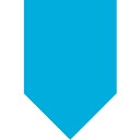 Storagecraftarcserve logo