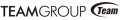 Team Group Inc logo