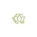 White Lotus Home logo