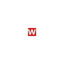 Wl Toys logo