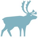 Yukon Charlies logo